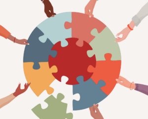 Are you curious about scientific software development?