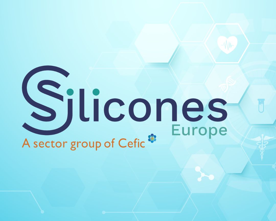 Silicone science meets in silico tools