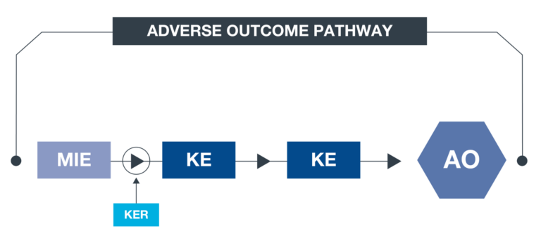 AOP Diagram - Kaptis