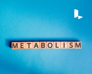 Confident metabolite ID and metabolite toxicity assessment with Meteor
